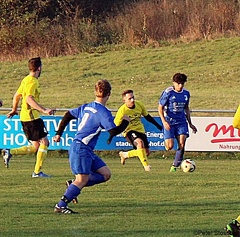 IMG 4571